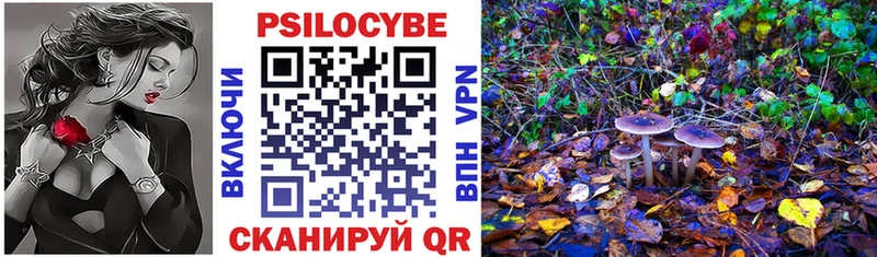 KRAKEN как войти  Курлово  Псилоцибиновые грибы MAGIC MUSHROOMS 